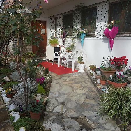 B&B Gioia Pisa Exterior foto